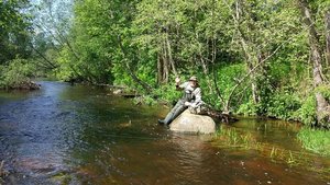 IMG_20170616_141210.jpg