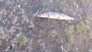 IMG_20180424_195509.jpg