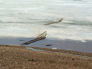 DSC01811.JPG