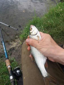20180622_101627.jpg