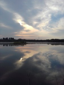 20180710_063142 (2).jpg