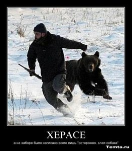 1266437352_demotivator-so-smislom_11.jpg