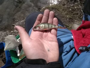 IMG_20190423_123235.jpg