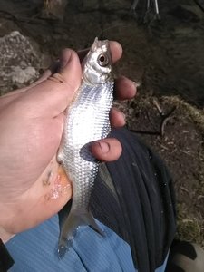 IMG_20190423_151329.jpg