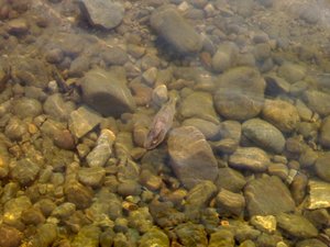 DSC00209.JPG