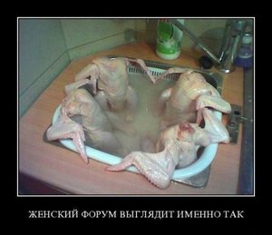 1279454662_demotivatory_105.jpg