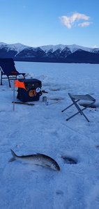 20200317_074706.jpg