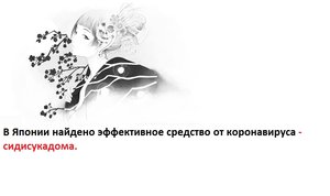 сидисукадома.jpg