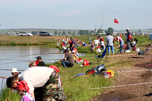 IMG_0774.jpg
