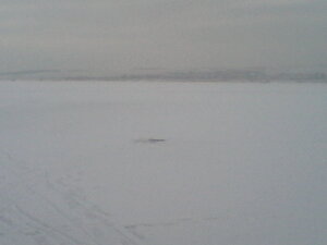 IMG_20201128_164029.jpg