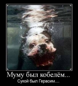 Рисунок1.jpg