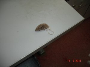DSC01401.JPG