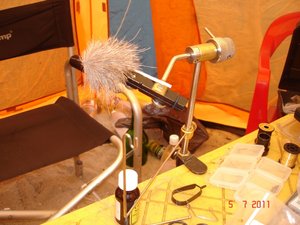 DSC01390.JPG