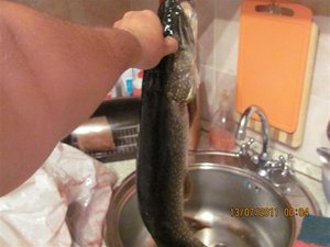 IMG_1023.jpg