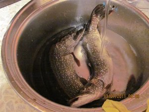 IMG_1024.jpg