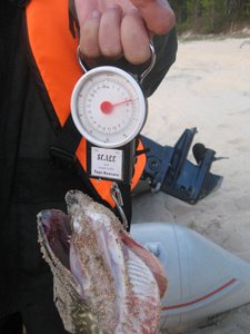 IMG_1392.jpg