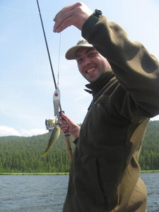 IMG_1393_.jpg