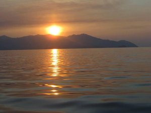 IMG_1408.jpg
