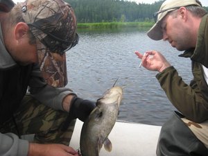 IMG_1427.jpg