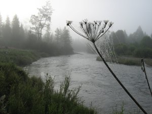 Ихэ-Огунь 2011 005.jpg