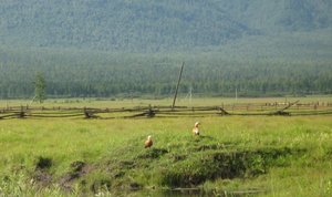 Ихэ-Огунь 2011 051.jpg