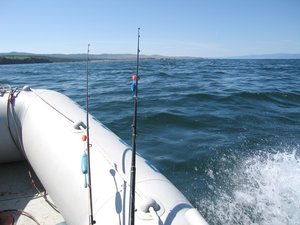 IMG_0546 copy.jpg