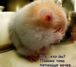 пятницо.jpg