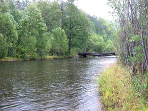 тосик 009.jpg
