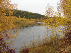 DSC00942_новый размер.JPG
