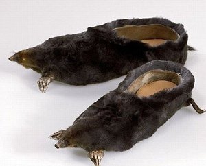 Taxidermia_12_500.jpeg