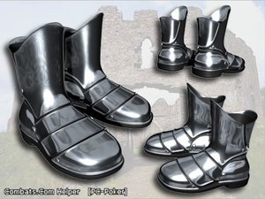 стальные камусы.jpg