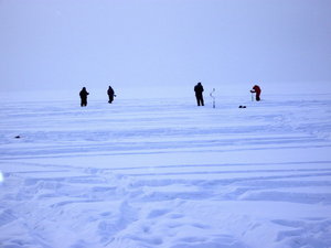 IMGP0036.jpg