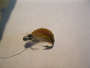 IMG_2086.JPG