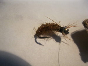 IMG_2075.JPG