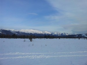 2012-11-24 11.40.24.jpg