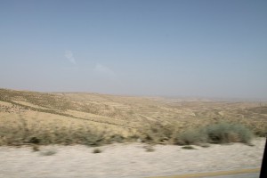 IMG_3645.JPG