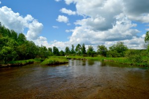 DSC_1270.JPG