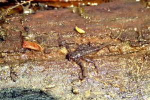 DSC_1289.JPG