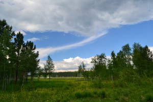 DSC_1339.JPG