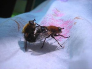 DSCN3821.JPG