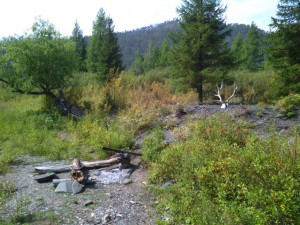 IMG_20130819_132650.jpg
